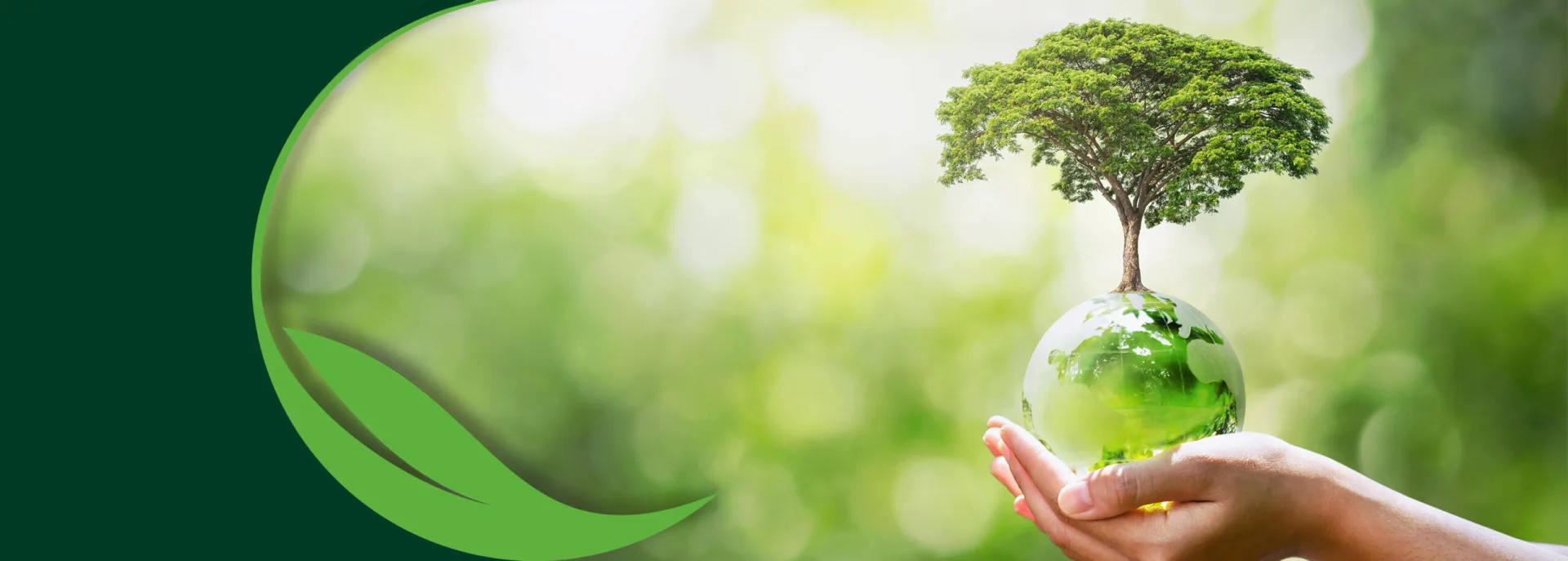 Ecocycle — çevre dostu üretim